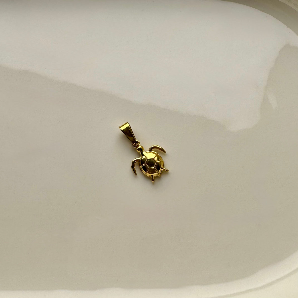 Turtle Necklace