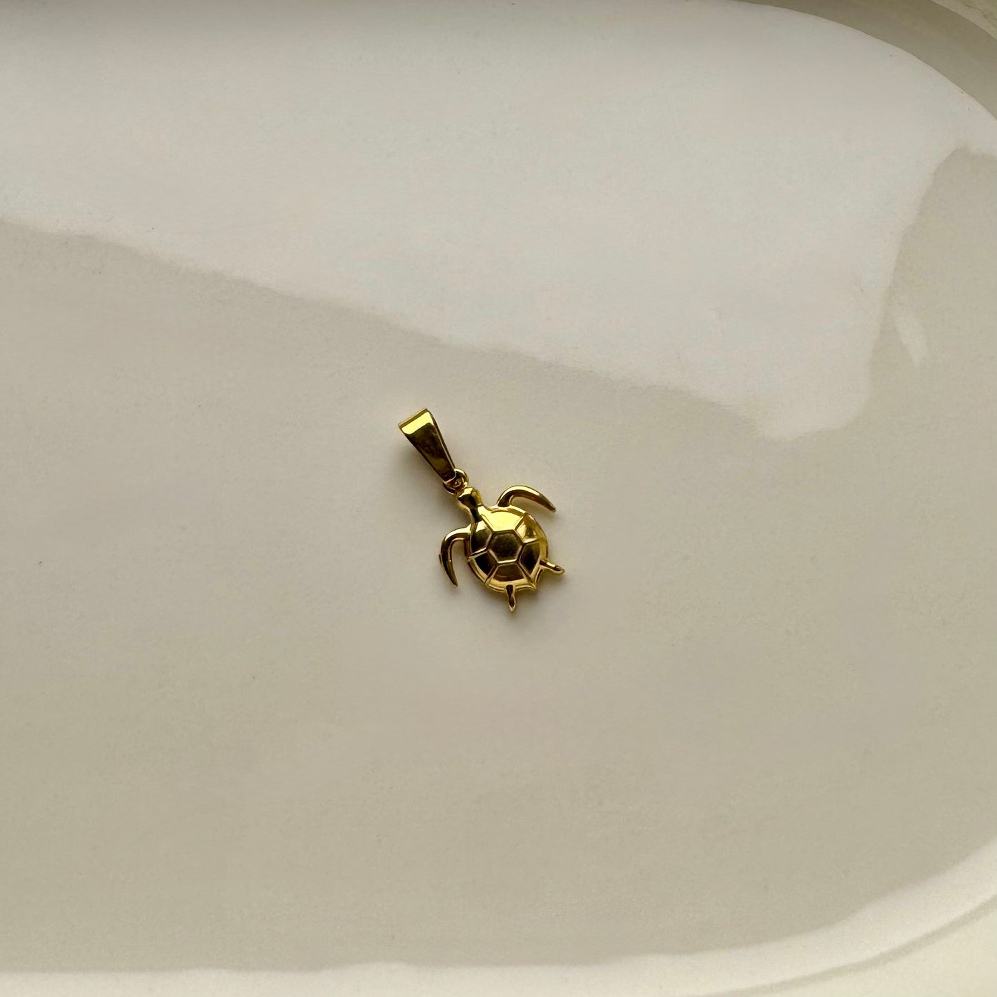 Turtle Necklace