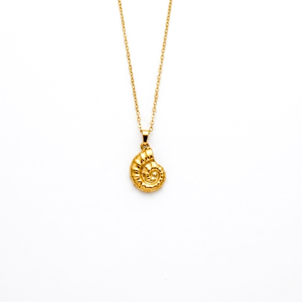 Conch Shell Necklace
