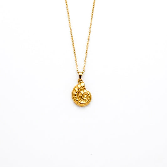 Conch Shell Necklace