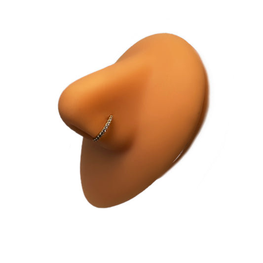 Pamela Nose Hoop